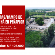 HARAS/CAMPO EN VENTA A 30 MINUTOS DEL CENTRO DE SANTIAGO